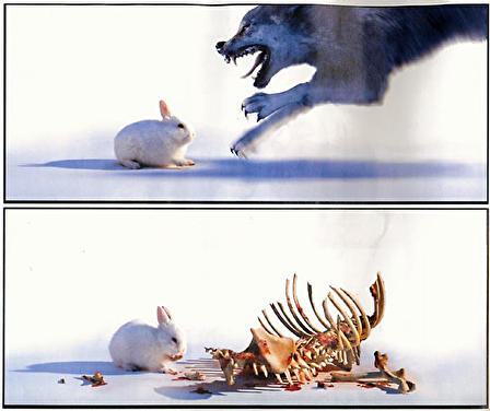 Image comique du jour gratuit